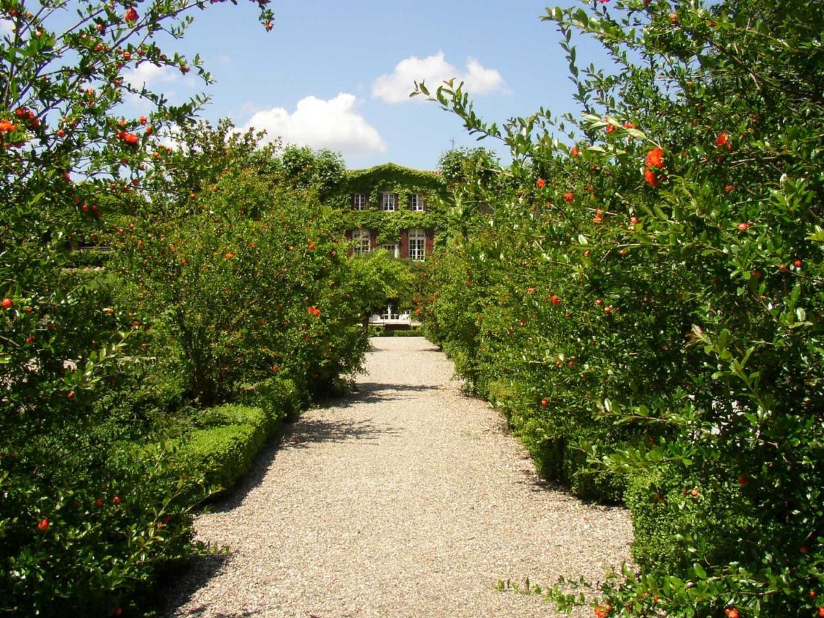 Chateau De Floure - Spa Et Piscine Exterieure Chauffee Каркасон Екстериор снимка